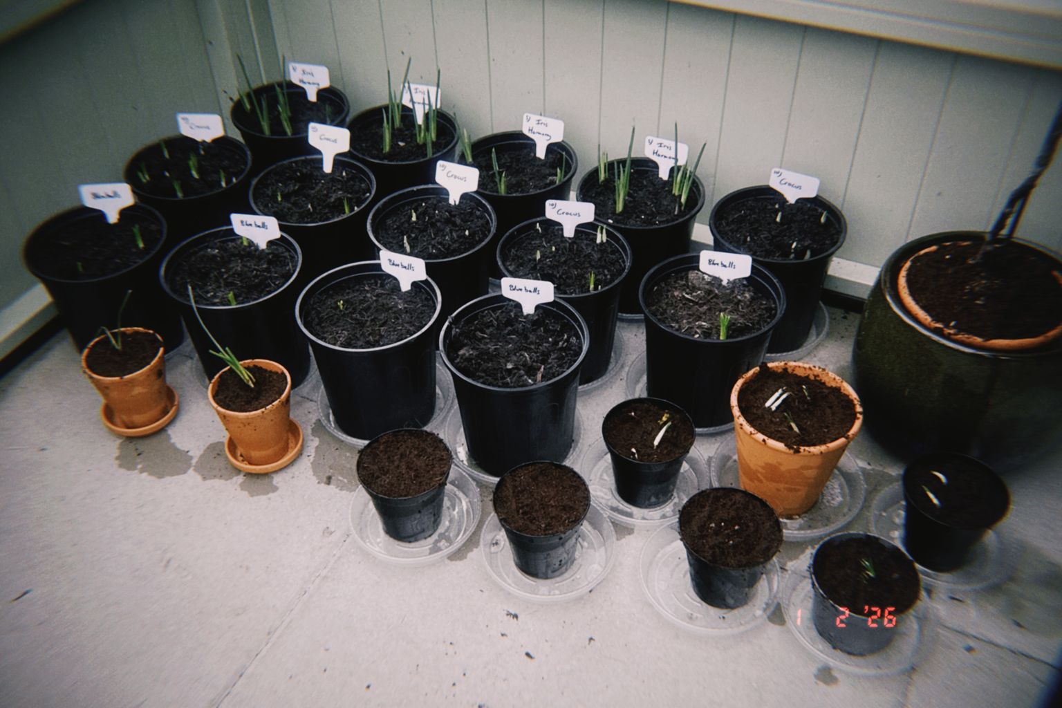 Project image for Studio and Life